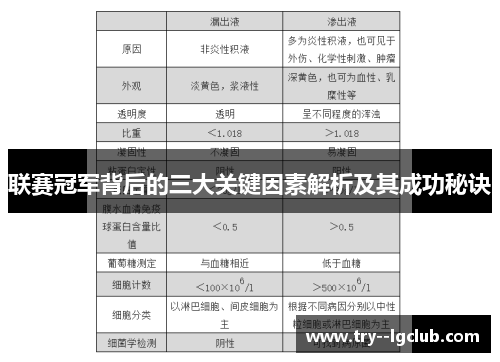 联赛冠军背后的三大关键因素解析及其成功秘诀