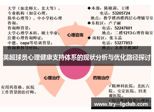 英超球员心理健康支持体系的现状分析与优化路径探讨