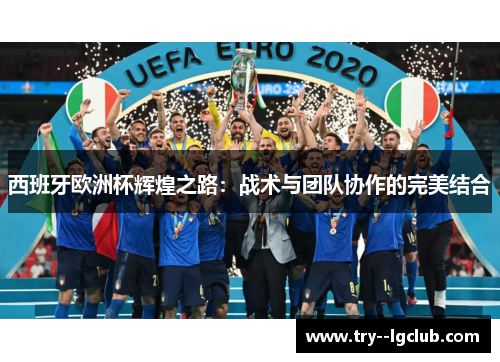 西班牙欧洲杯辉煌之路：战术与团队协作的完美结合