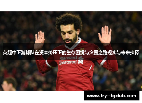 英超中下游球队在资本挤压下的生存困境与突围之路现实与未来抉择