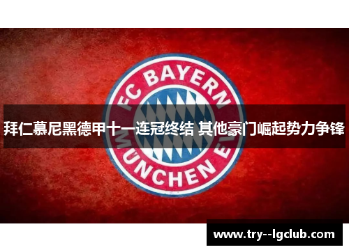 拜仁慕尼黑德甲十一连冠终结 其他豪门崛起势力争锋 拜仁慕尼黑德甲十一连冠终结 其他豪门崛起势力争锋